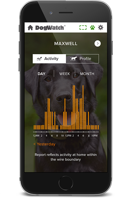 DogWatch by Billone Fence, Fairport, New York | SmartFence WebApp Image