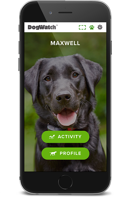 DogWatch by Billone Fence, Fairport, New York | SmartFence WebApp Image